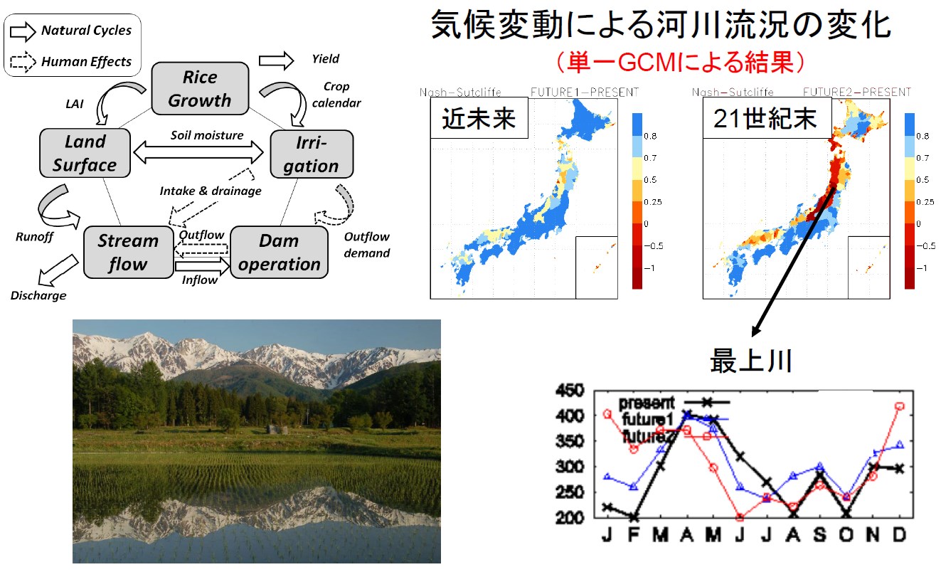気候変動による日本各地の水資源量変動予測