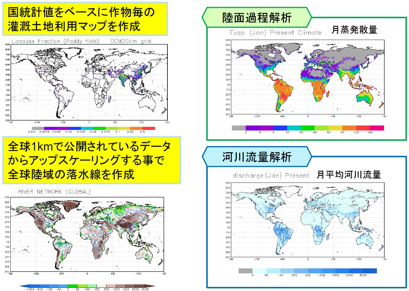 全球への適用（全球陸域水循環モデル）